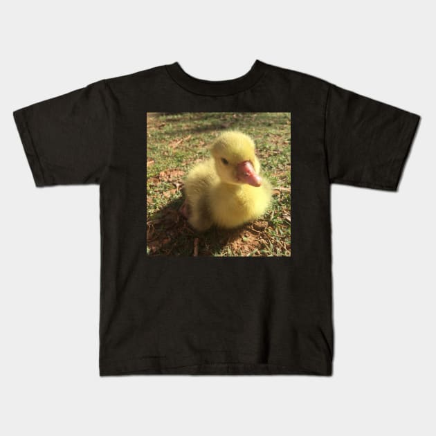 Gosling in the Grass Kids T-Shirt by LochNestFarm